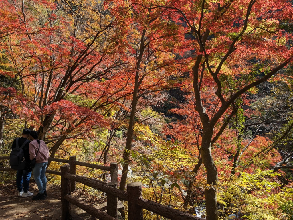 昇仙峡の紅葉