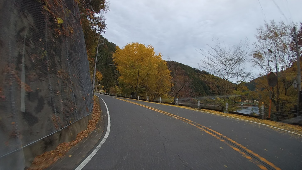 奥多摩湖の紅葉